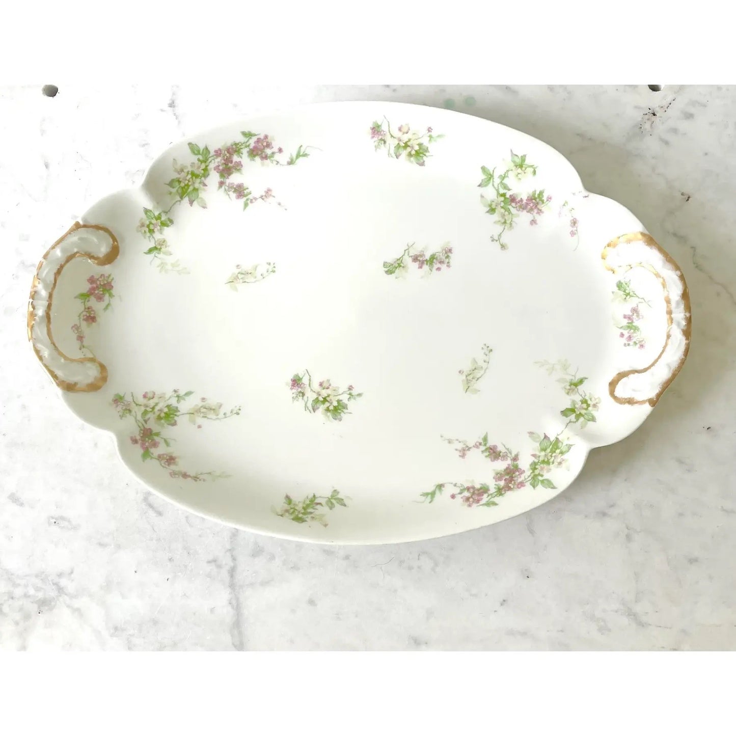 Limoges Haviland France Porcelain Platter