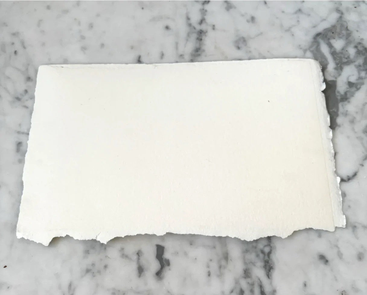 Barbara Beck 1996 Abstract Monoprint on Paper