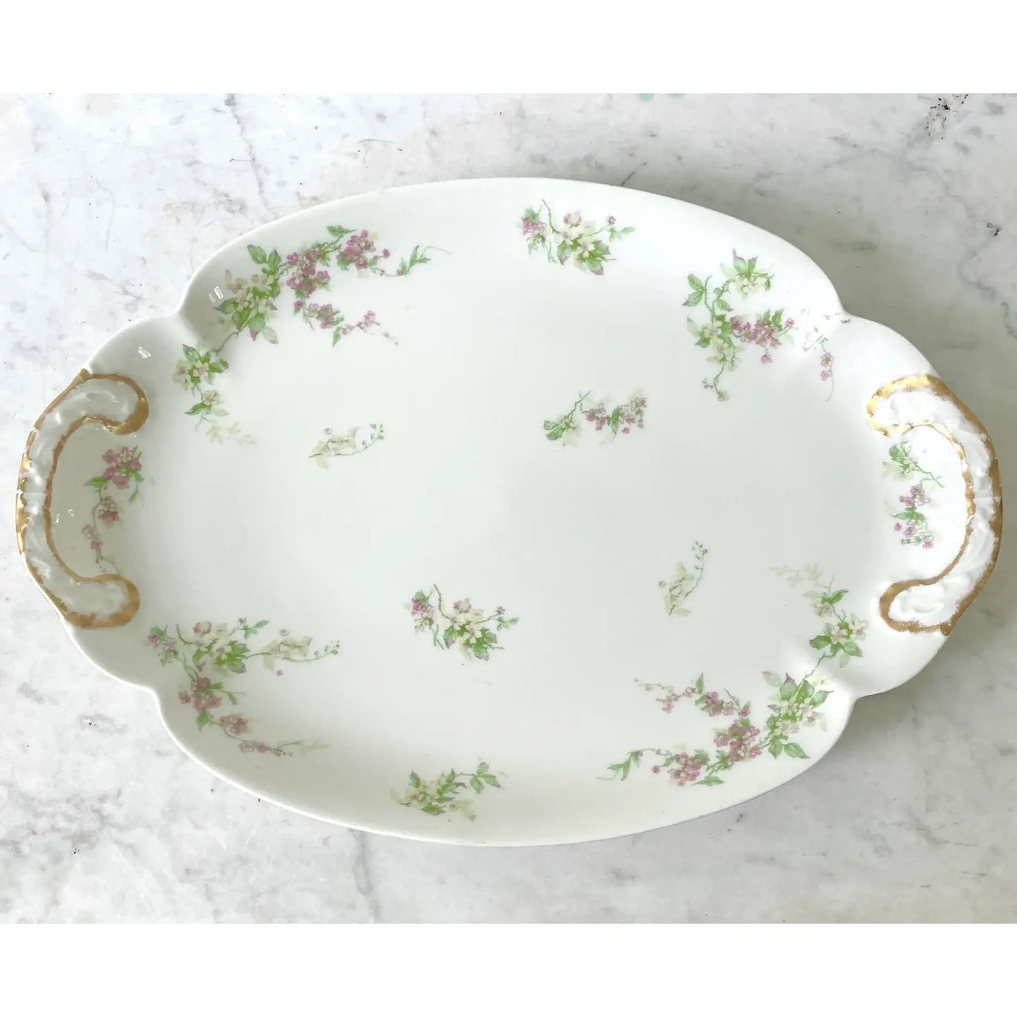 Limoges Haviland France Porcelain Platter