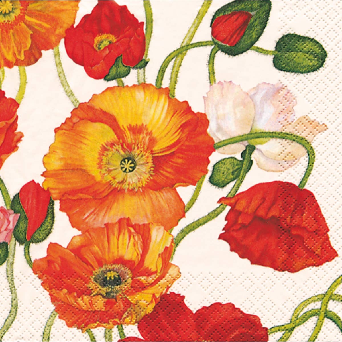 Boston International - Paper Cocktail Napkins Pack of 20 Poppies White