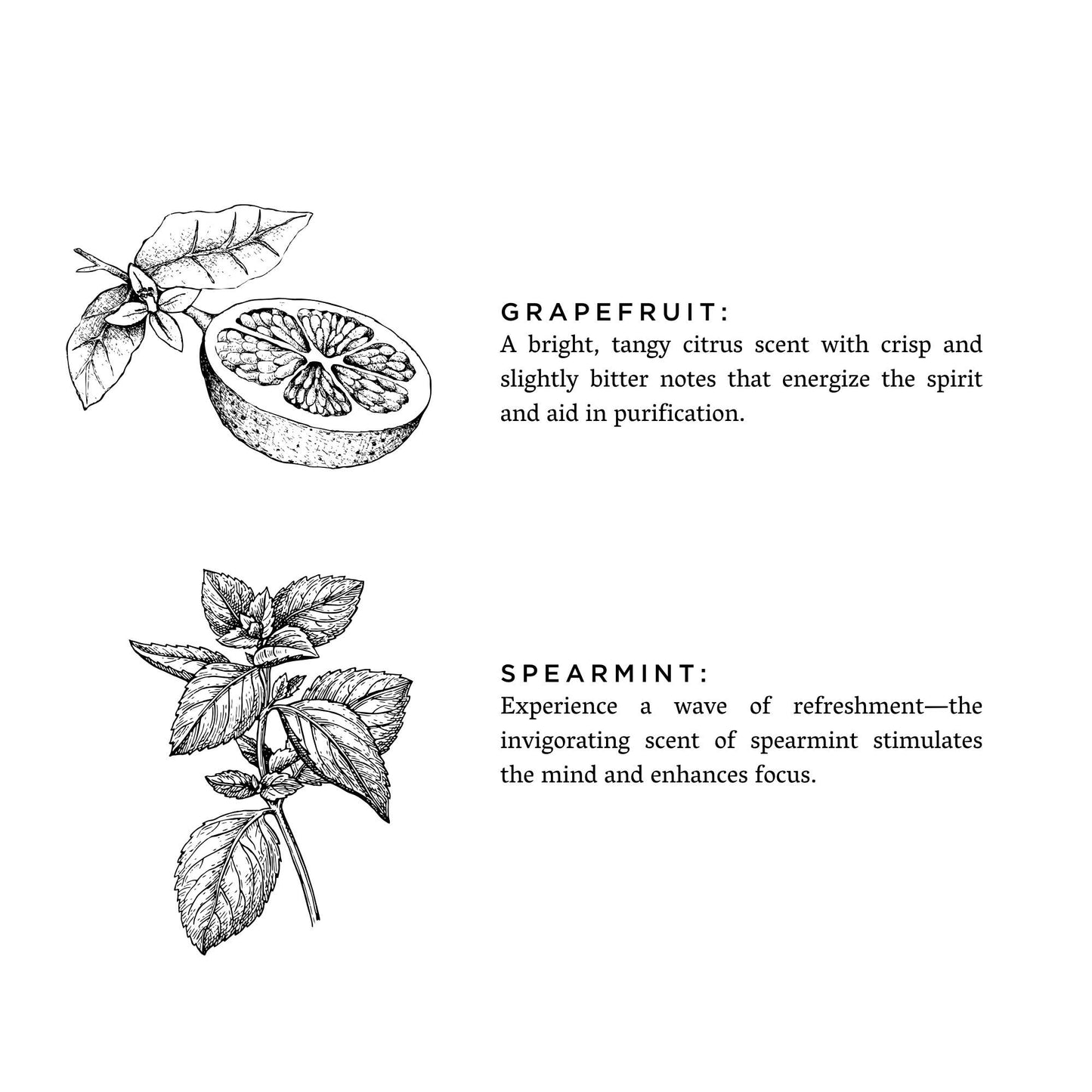 Slow North - Grapefruit + Spearmint Candle - 100% Essential Oils