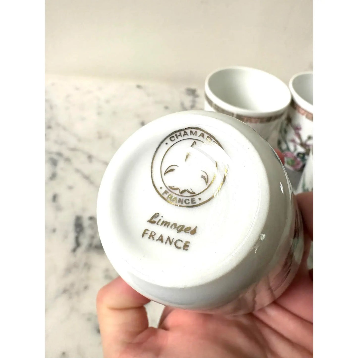 Limoges Francia Tazas de Porcelana Pintadas a Mano Juego de 6