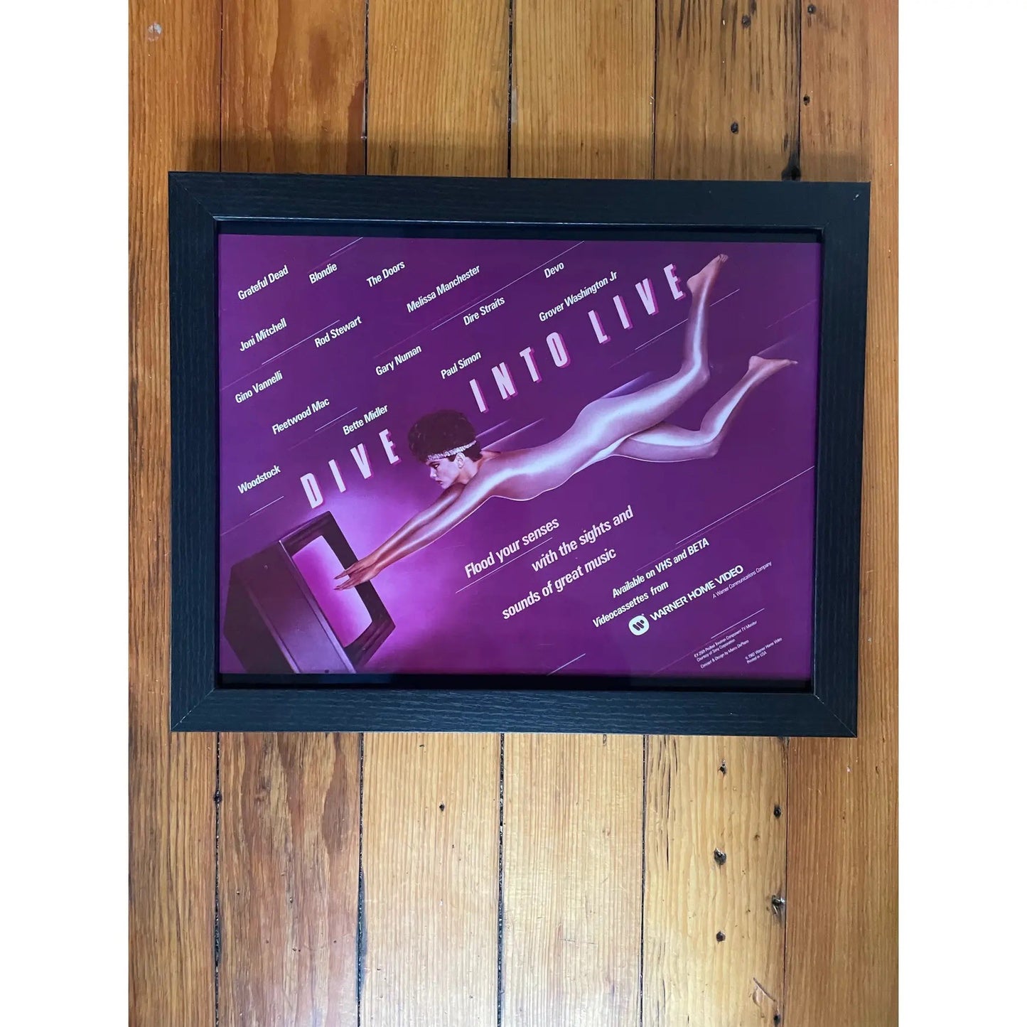 Rare 1980s Rare Warner Video Marketing Poster, Laminate - Framed