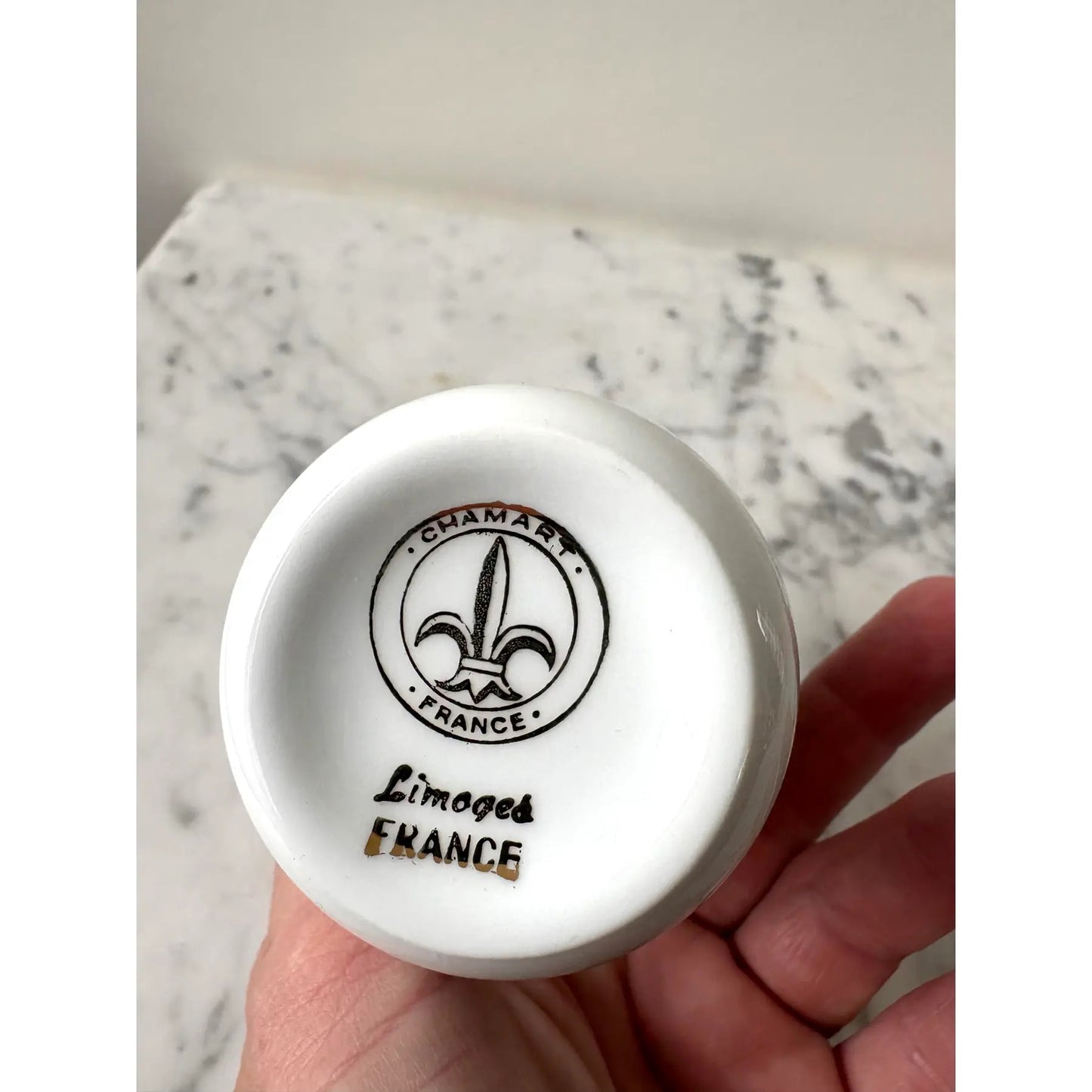 Taza de porcelana pintada a mano Limoges Francia
