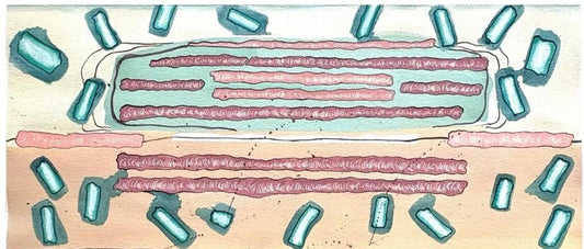 Barbara Beck 2006 Abstract Watercolor Painting on Paper