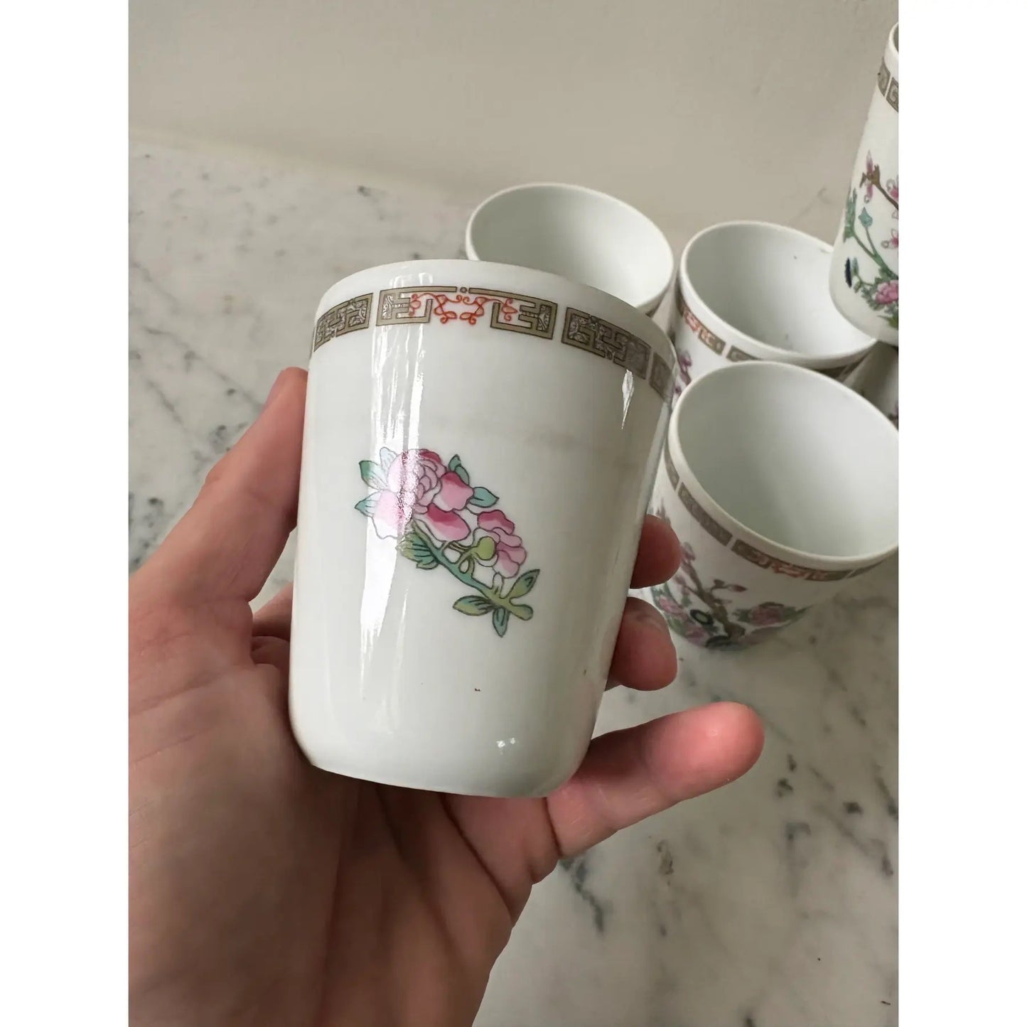 Limoges Francia Tazas de Porcelana Pintadas a Mano Juego de 6