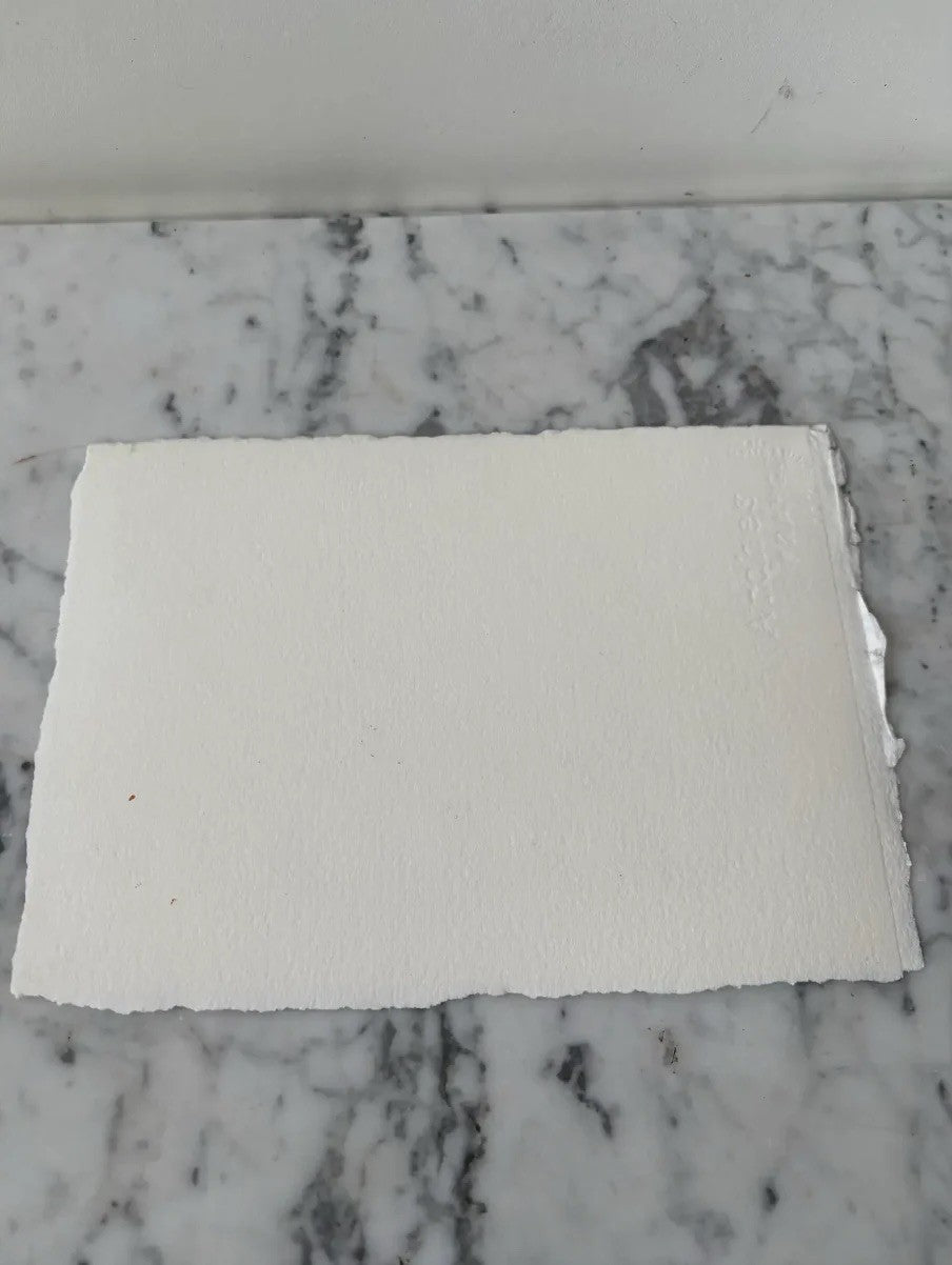 Barbara Beck 1995 Monocopia abstracta sobre papel