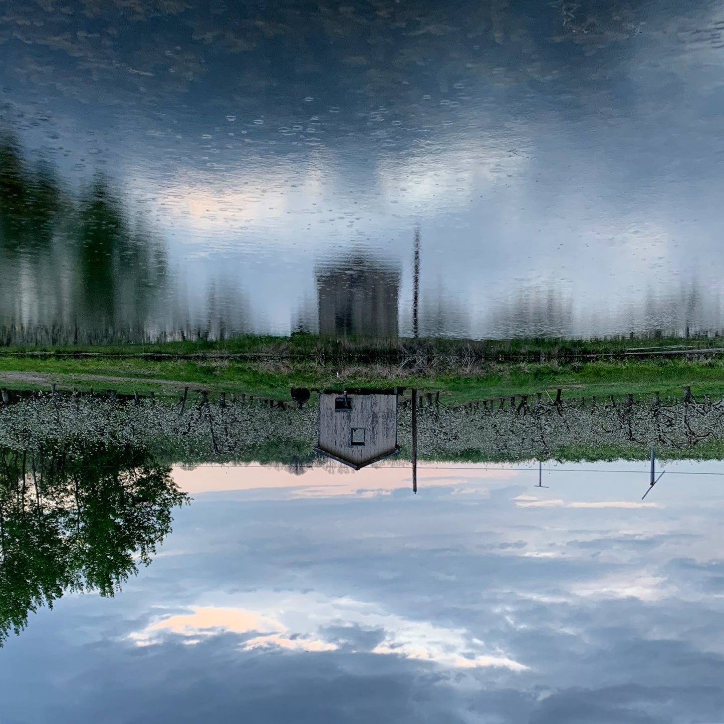 Variante Este No. 13