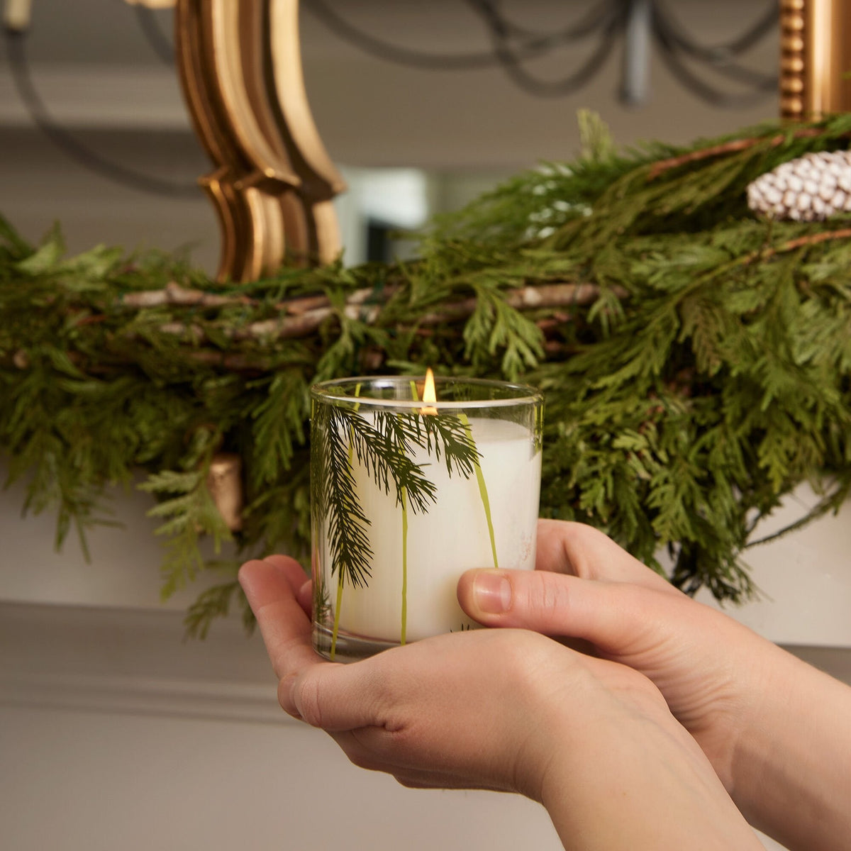 Thymes - Frasier Fir® Pine Needle Candle