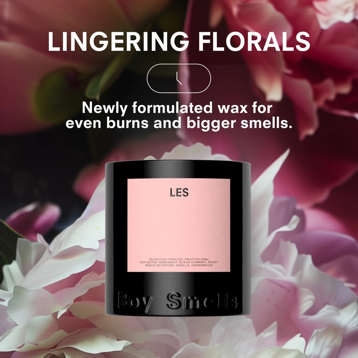 Boy Smells - LES