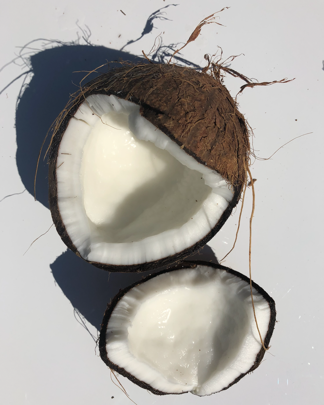 The Quiet Botanist - Happy Hands - Coconut Bar Soap: Default Title
