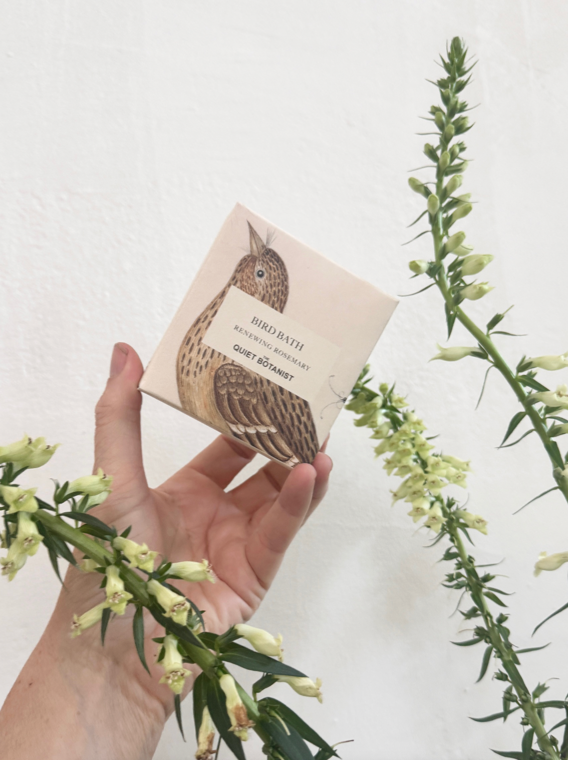 The Quiet Botanist - Bird Bath - Handmade Soap