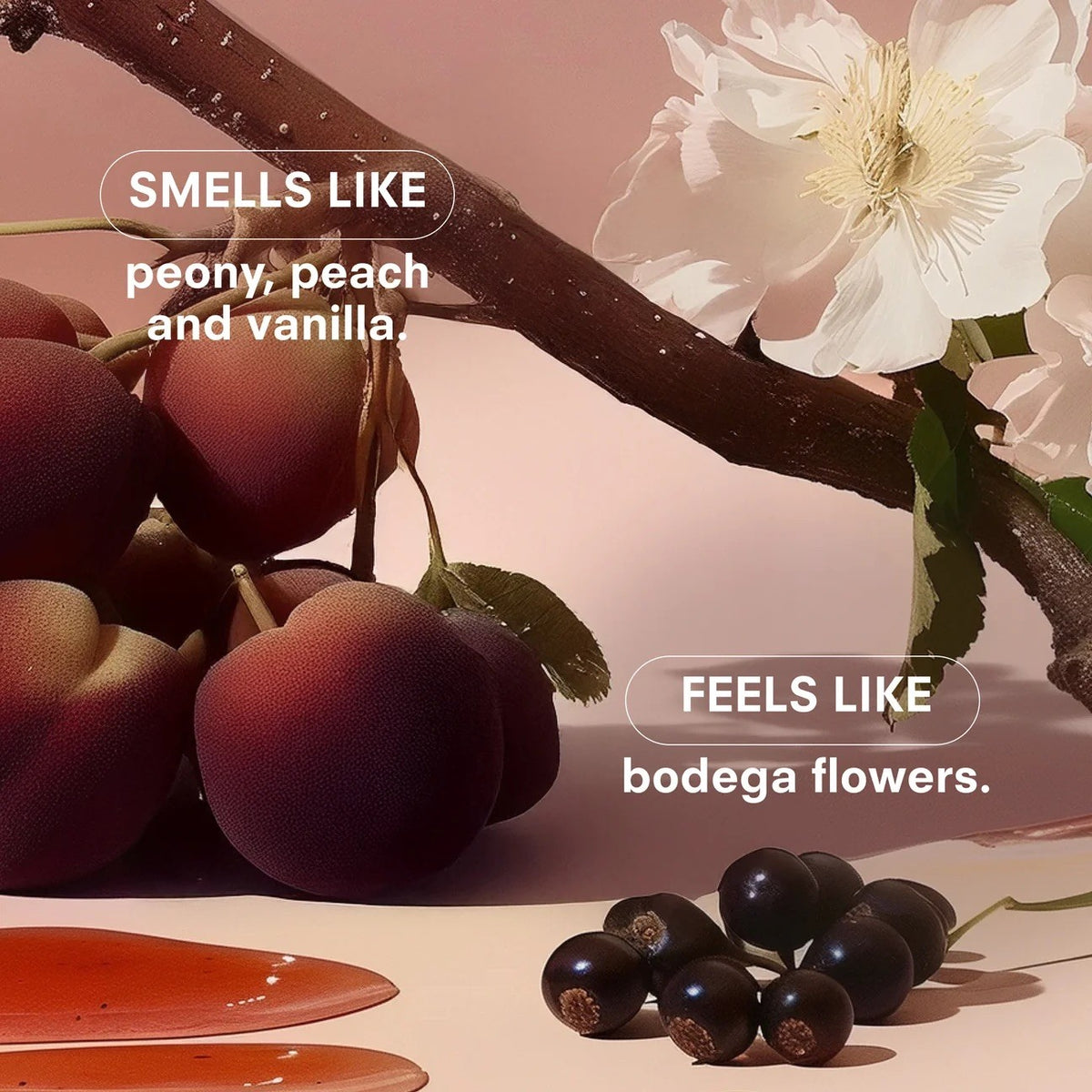 Boy Smells - LES
