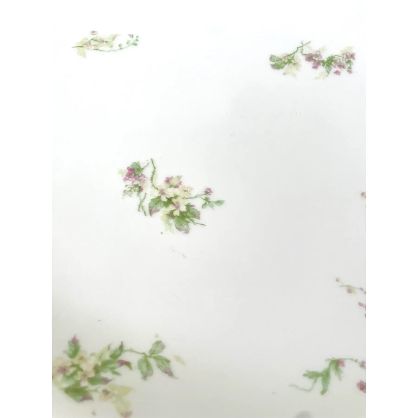 Limoges Haviland France Porcelain Platter