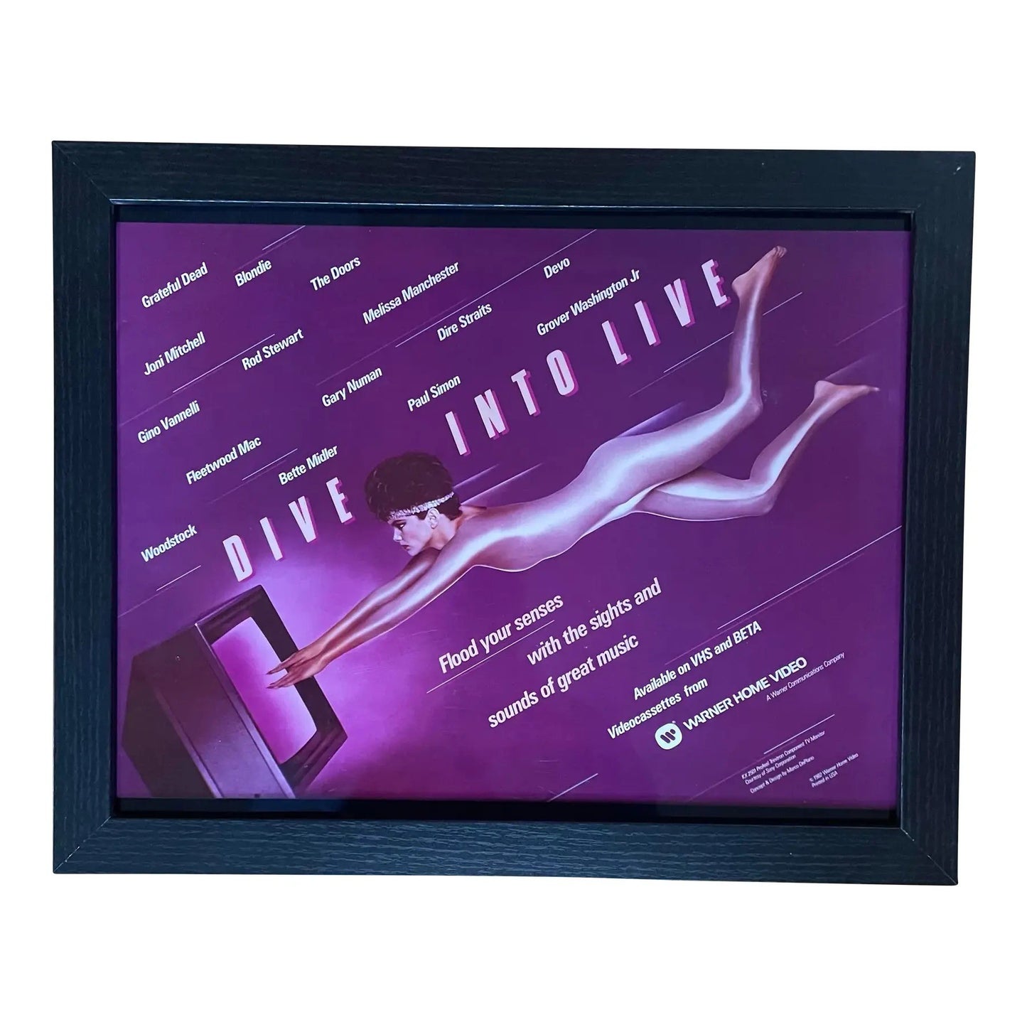 Rare 1980s Rare Warner Video Marketing Poster, Laminate - Framed