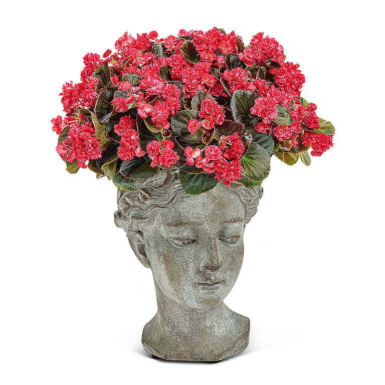 Abbott - Women Head Planter: Small (8.5"H)