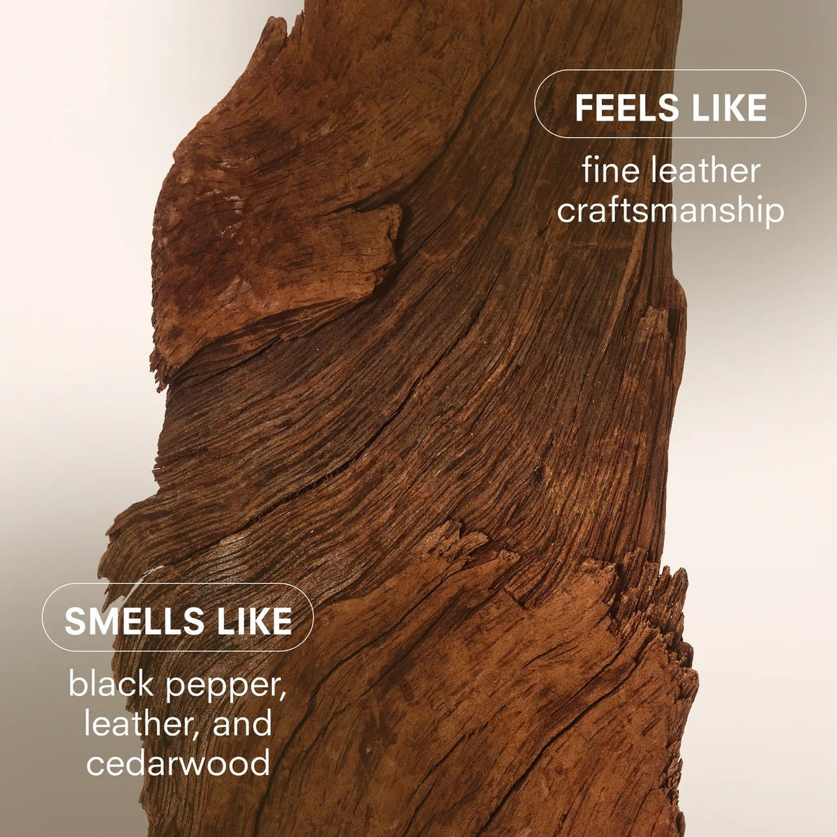 Boy Smells - Hard wood